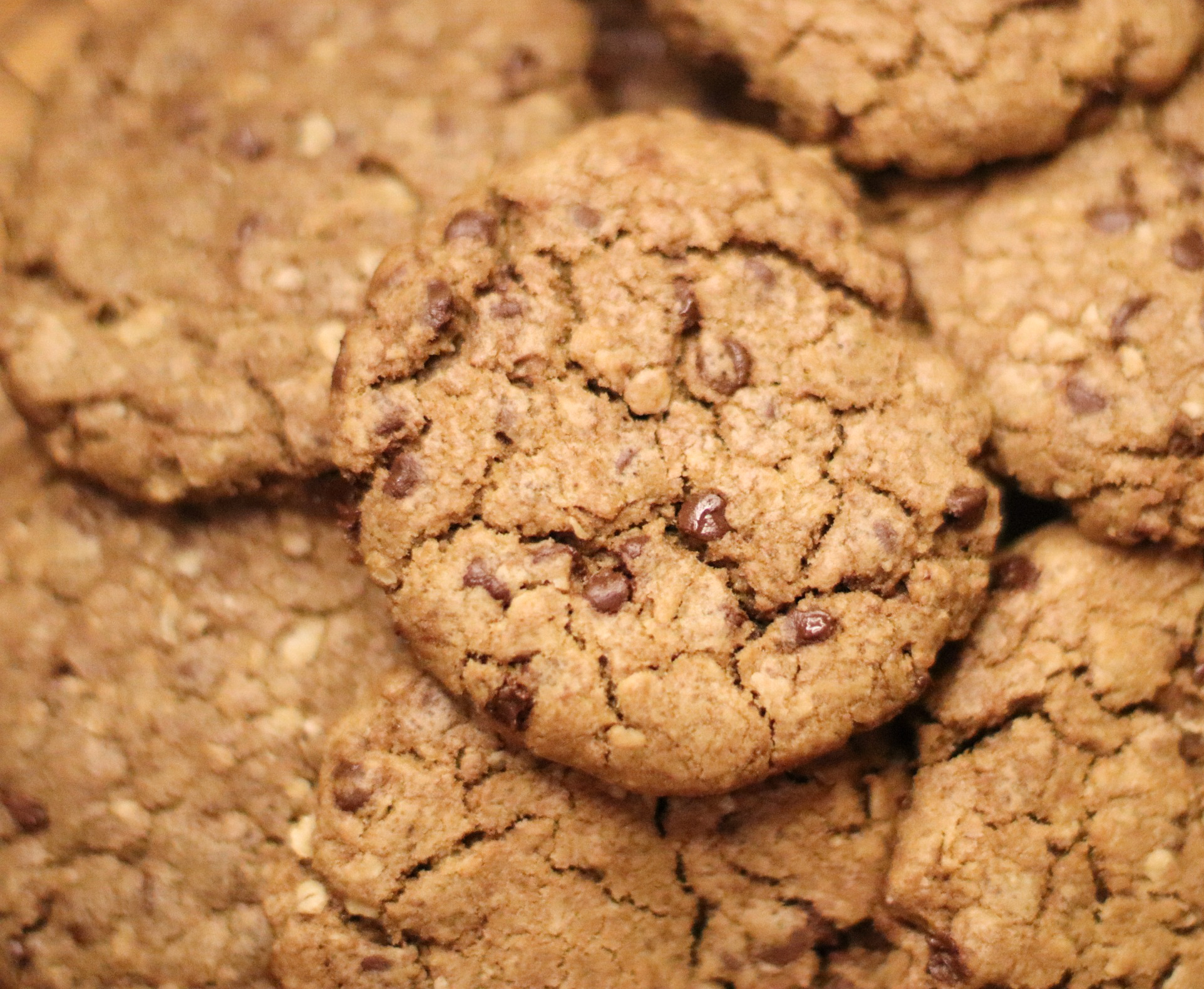 big fat chewy oatmeal chocolate chip cookies 