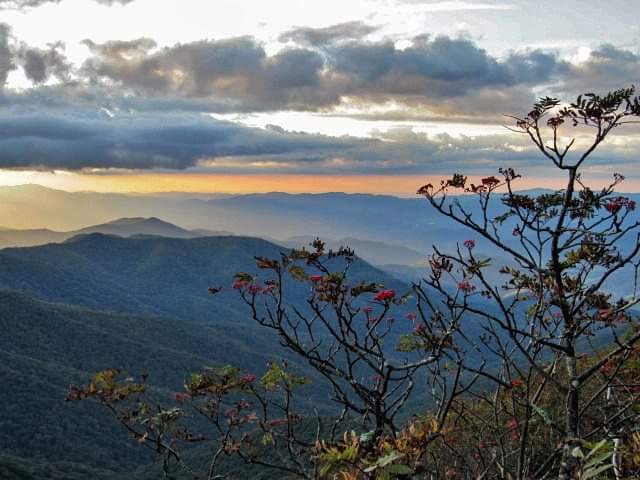 hiking near asheville with scenic views