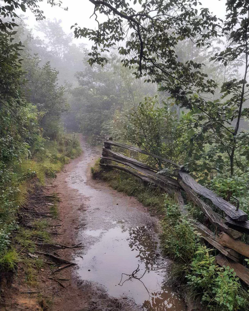 scenic hikes near asheville nc