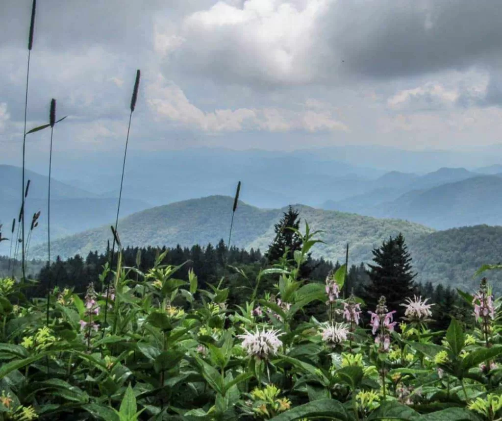 best hikes in asheville