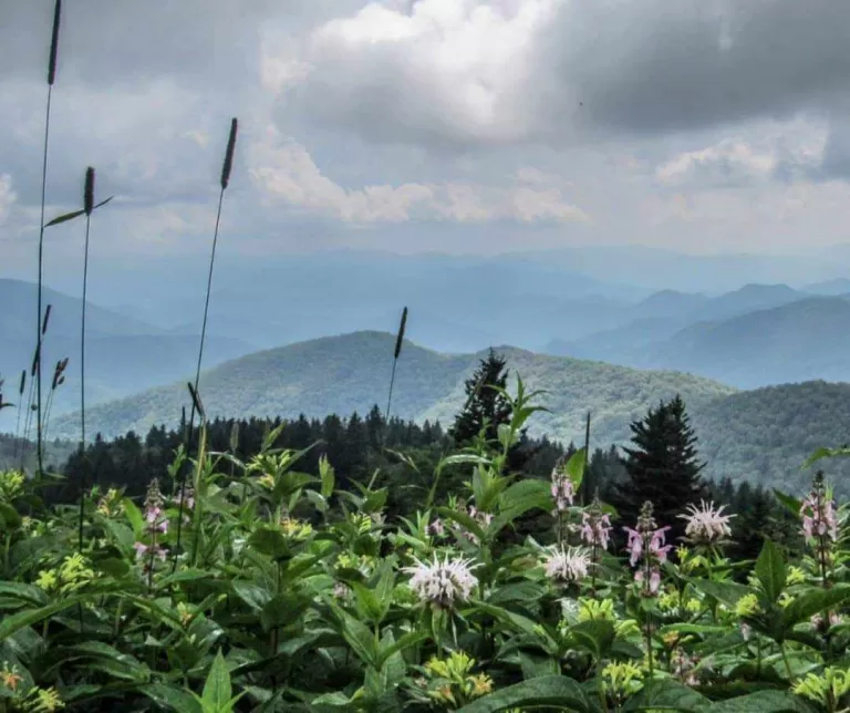 best hikes in asheville