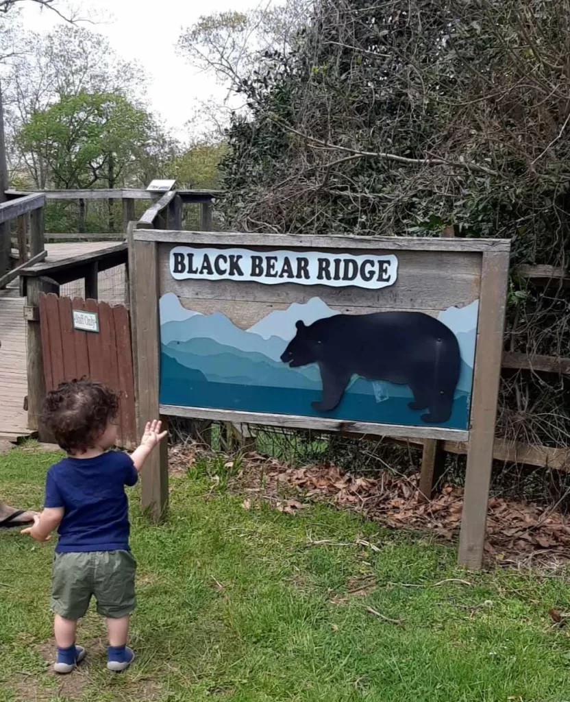 nature center asheville