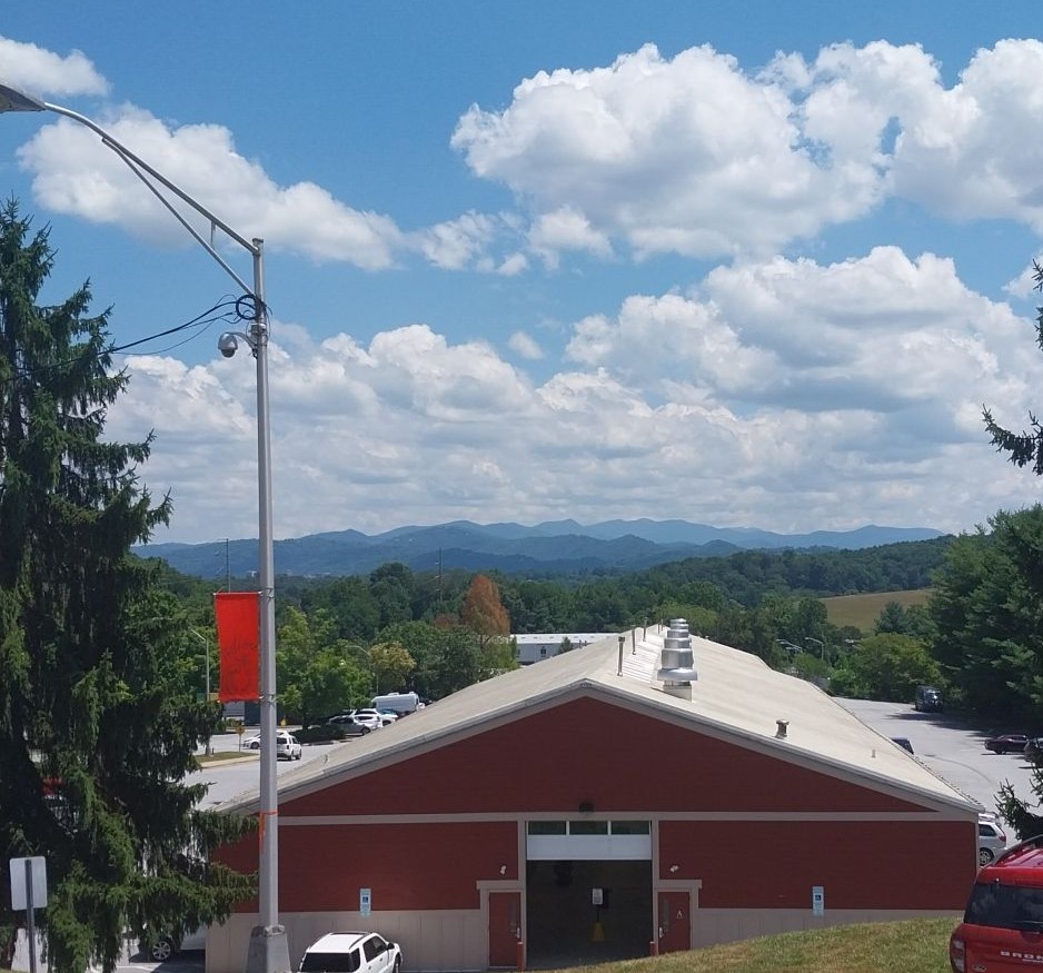 wnc farmers market