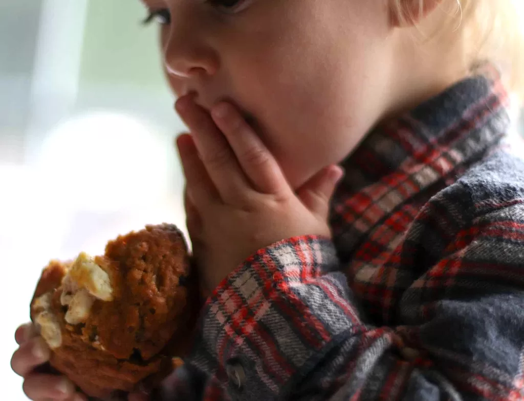 chocolate and cream cheese muffins