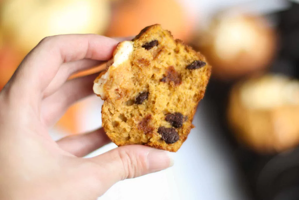 pumpkin chocolate chip protein muffins