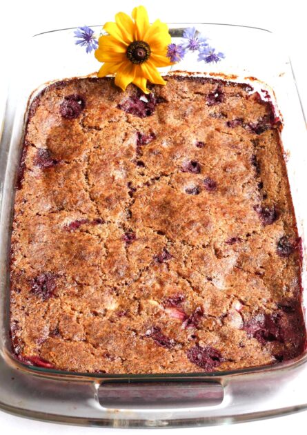 Gluten Free Blackberry Cobbler Recipe