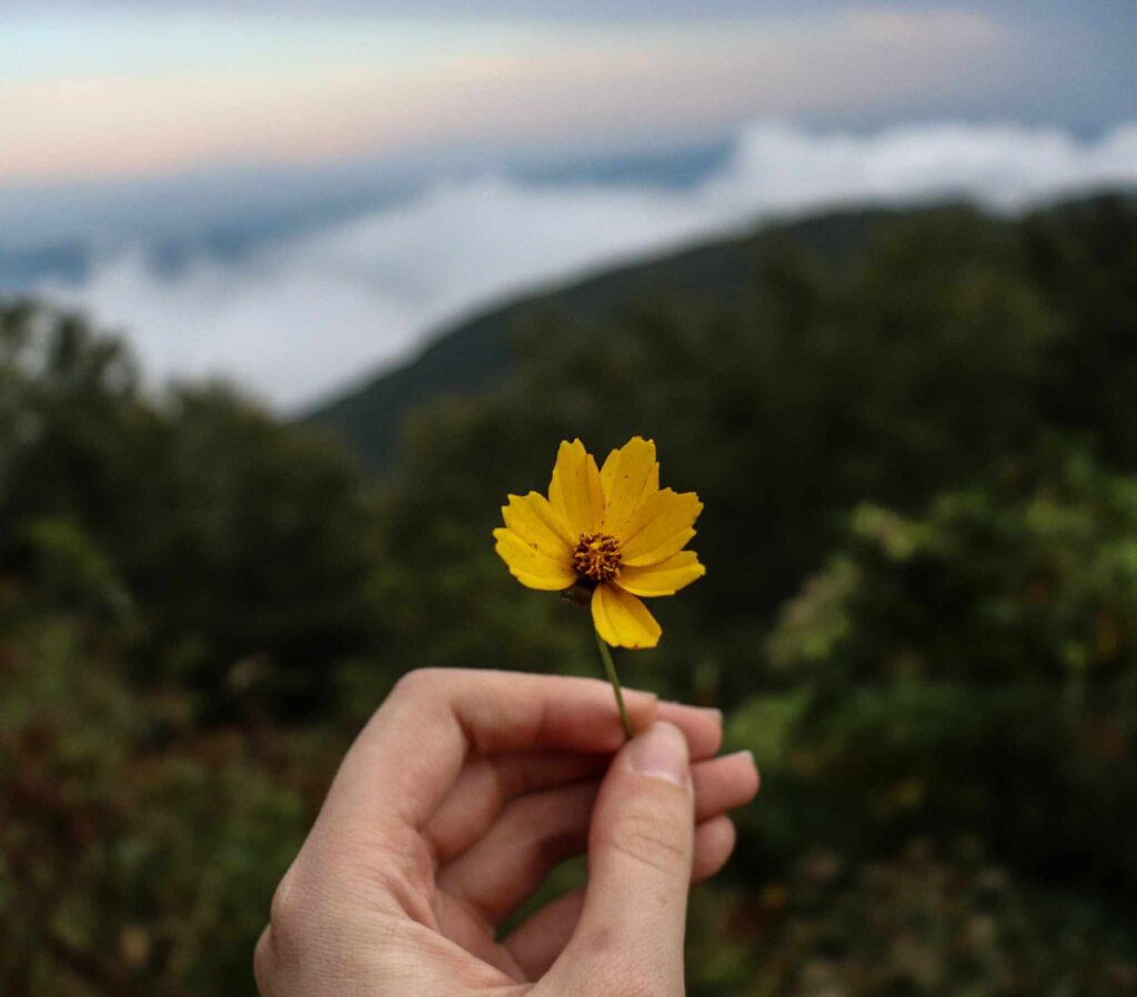 Hike Cook Share | Recipes for Everyone 86 Best easy hikes near asheville nc