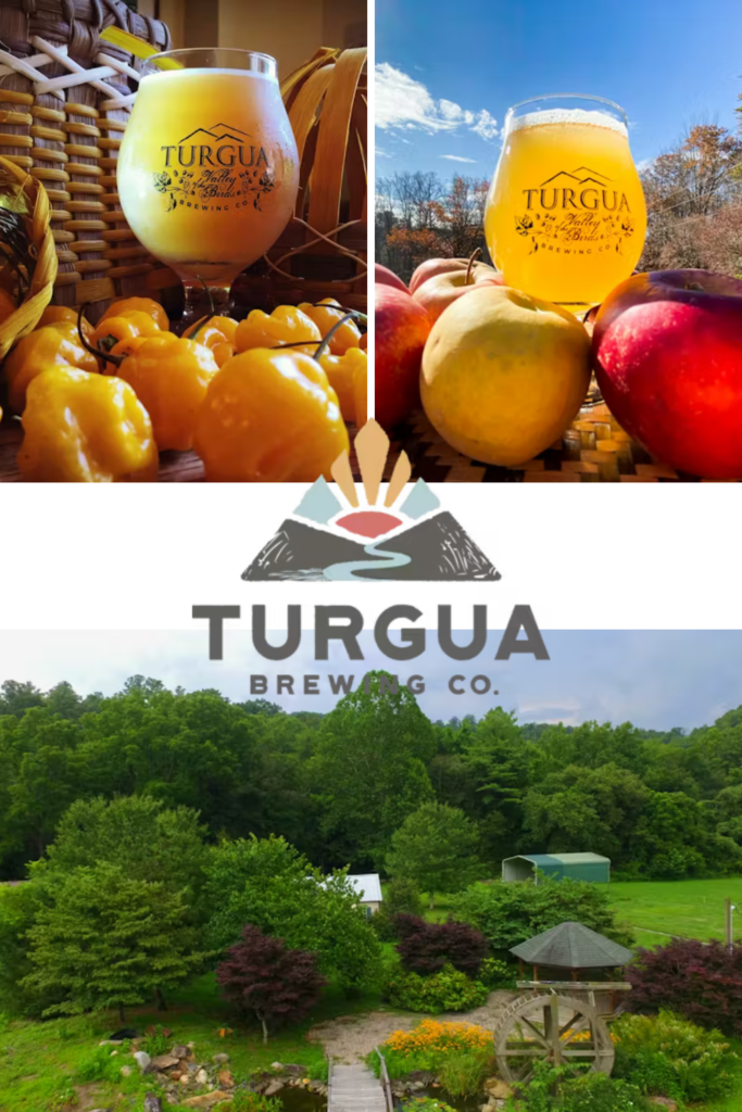 Turgua Brewing Asheville outdoor seating and drinks at relaxed kid friendly brewery in the mountains