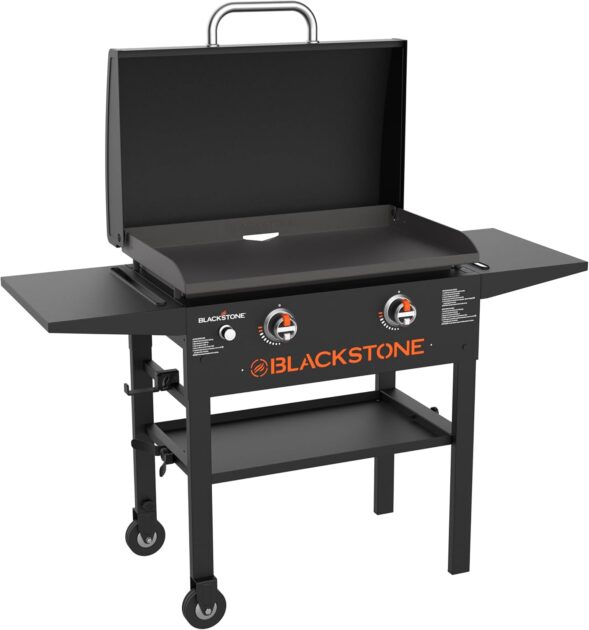61qoRnljFzL. AC SL1500