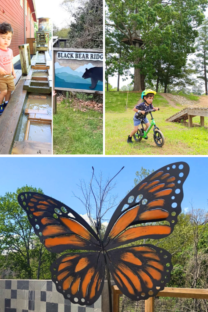 kids having fun at Kid Friendly Asheville NC Activities